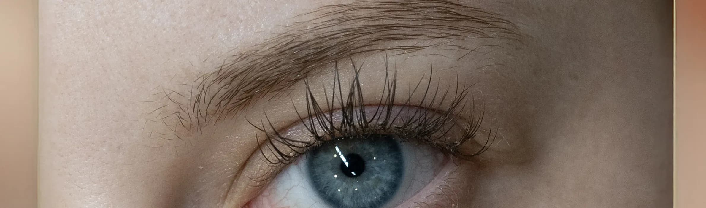 Eyebrow Microblading Refinement before treatment